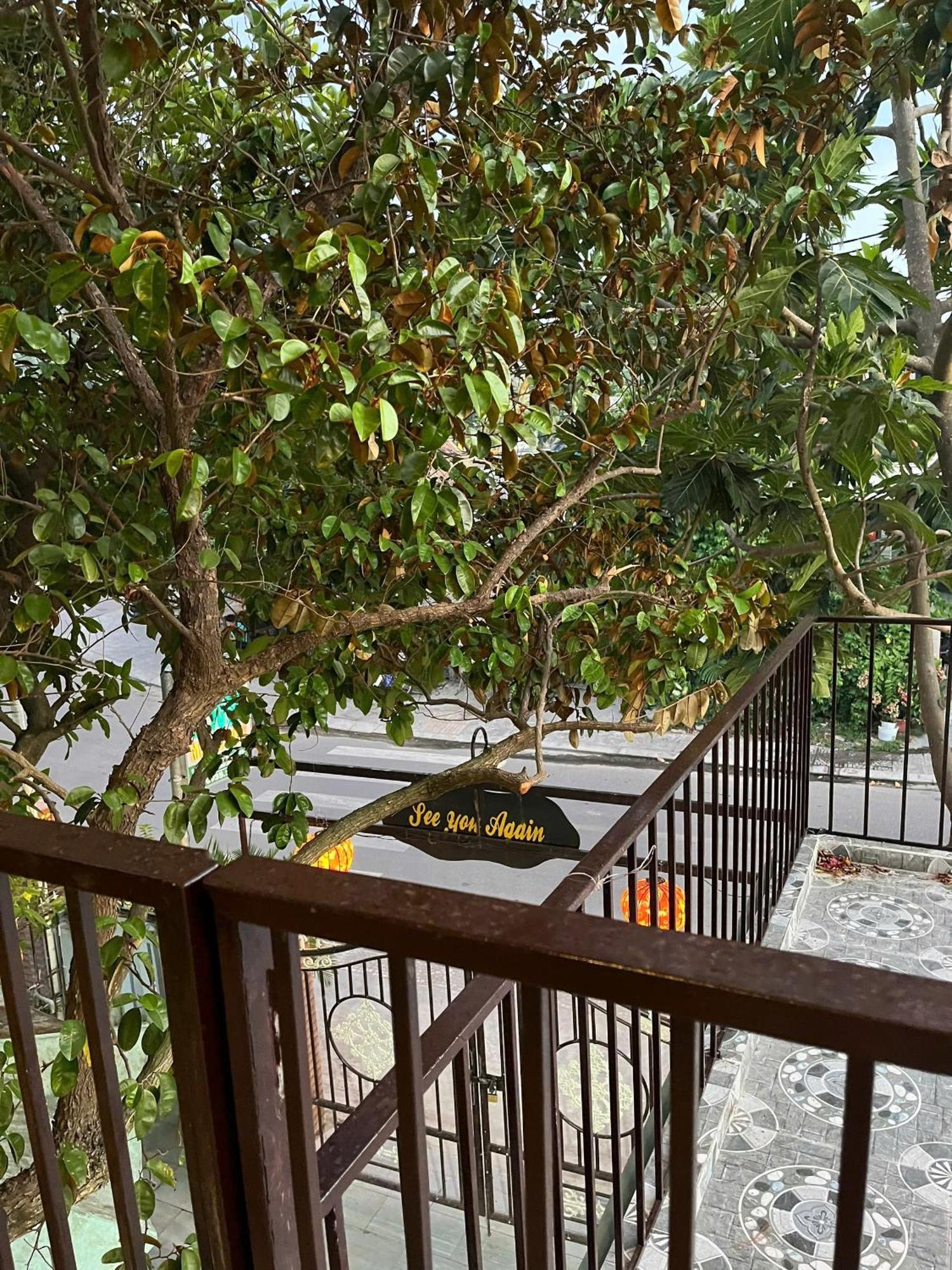 Milk Fruit Homestay - An Bang Beach Χόι Αν Εξωτερικό φωτογραφία